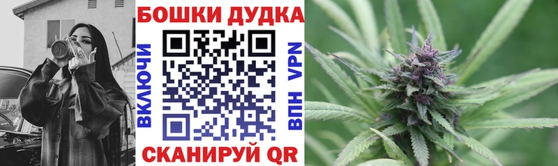 Купить закладки  Велиж  Бошки Шишки Amnesia 